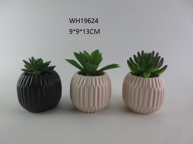 Ceramic Succulent Planter Pots