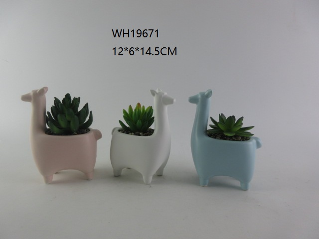 Ceramic Succulent Planter Pots