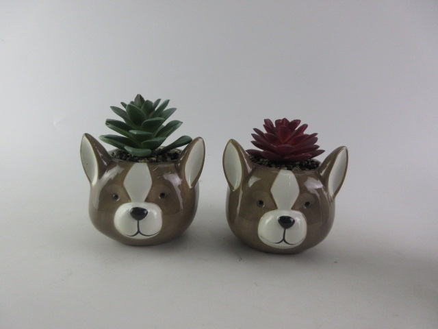 Ceramic Succulent Planter Pots