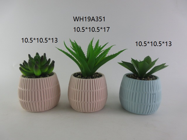 Ceramic Succulent Planter Pots