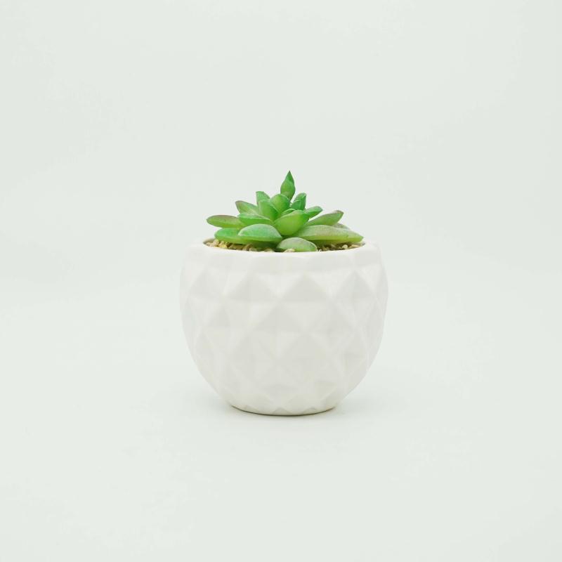 Ceramic Succulent Planter Pots
