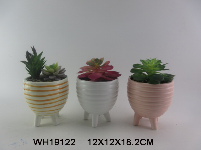 Ceramic Succulent Planter Pots