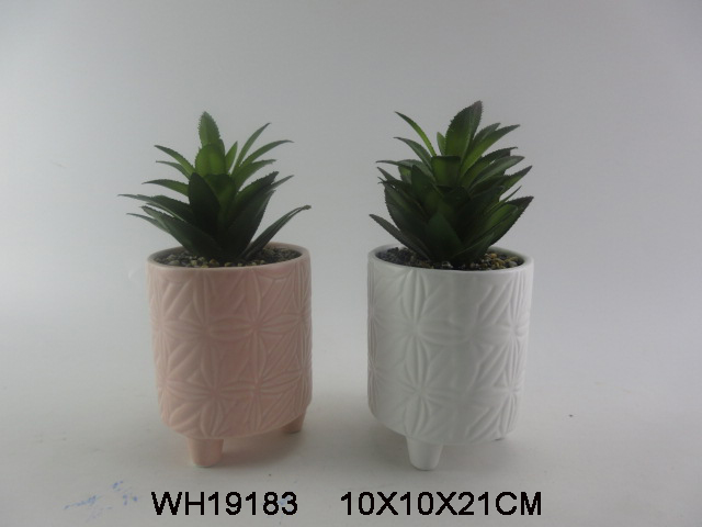 Ceramic Succulent Planter Pots