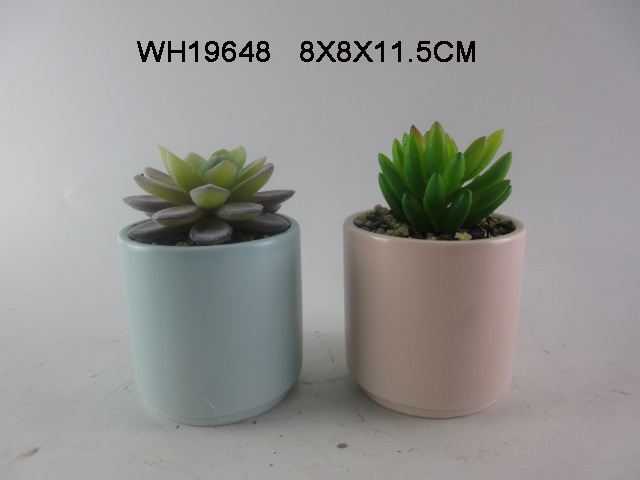 Ceramic Succulent Planter Pots