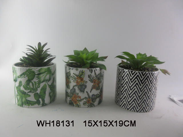 Ceramic Succulent Planter Pots