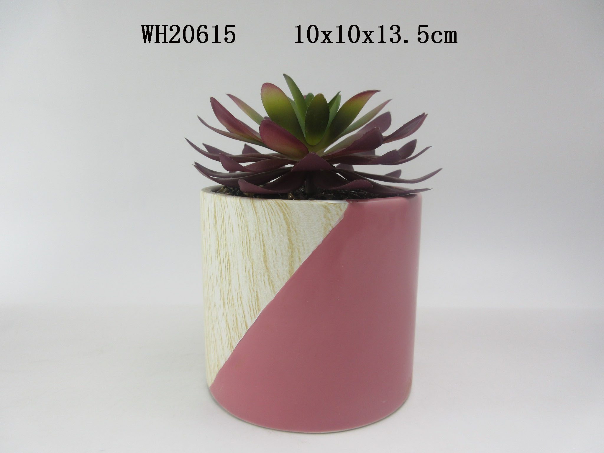 Ceramic Succulent Planter Pots