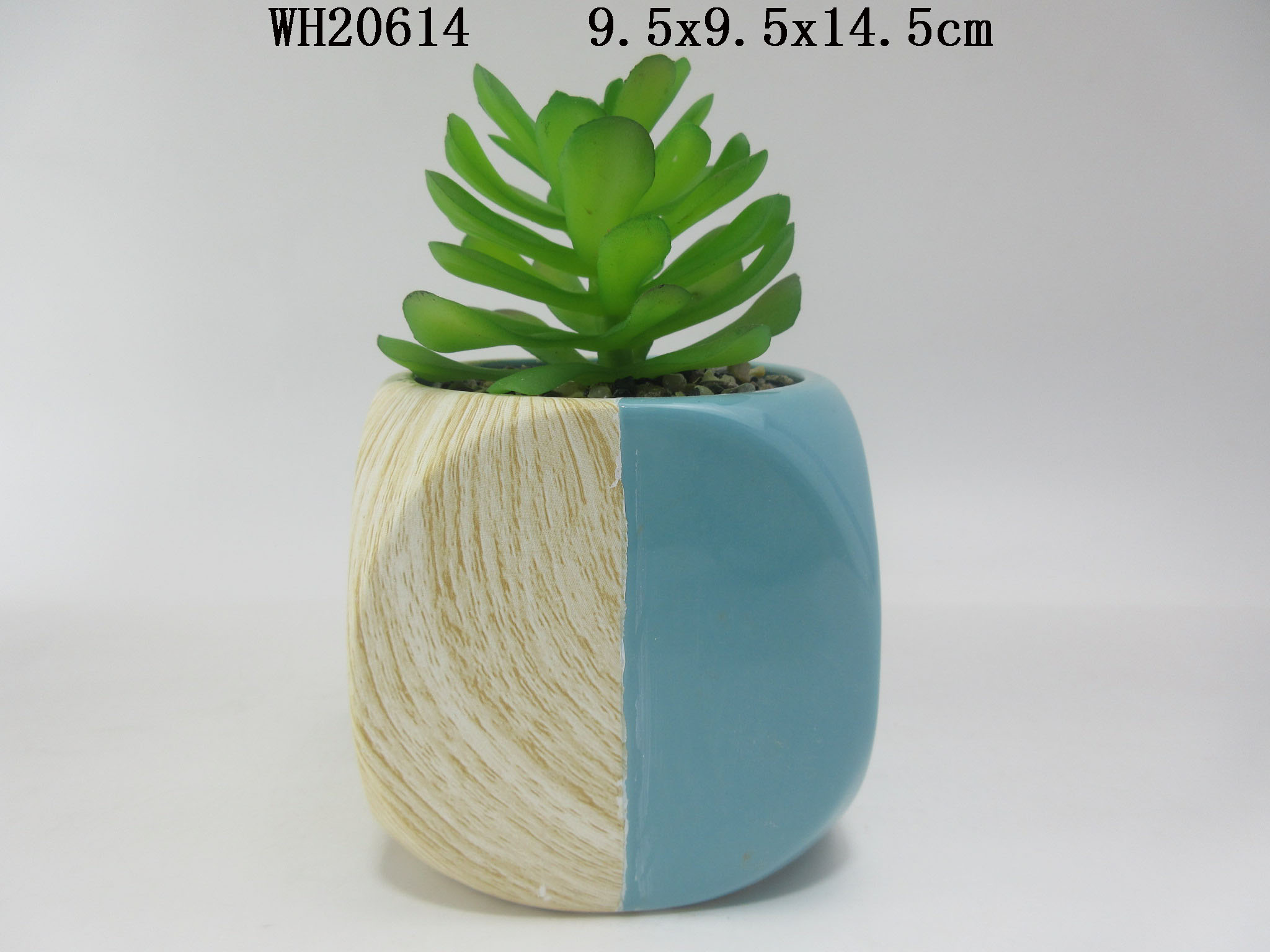 Ceramic Succulent Planter Pots