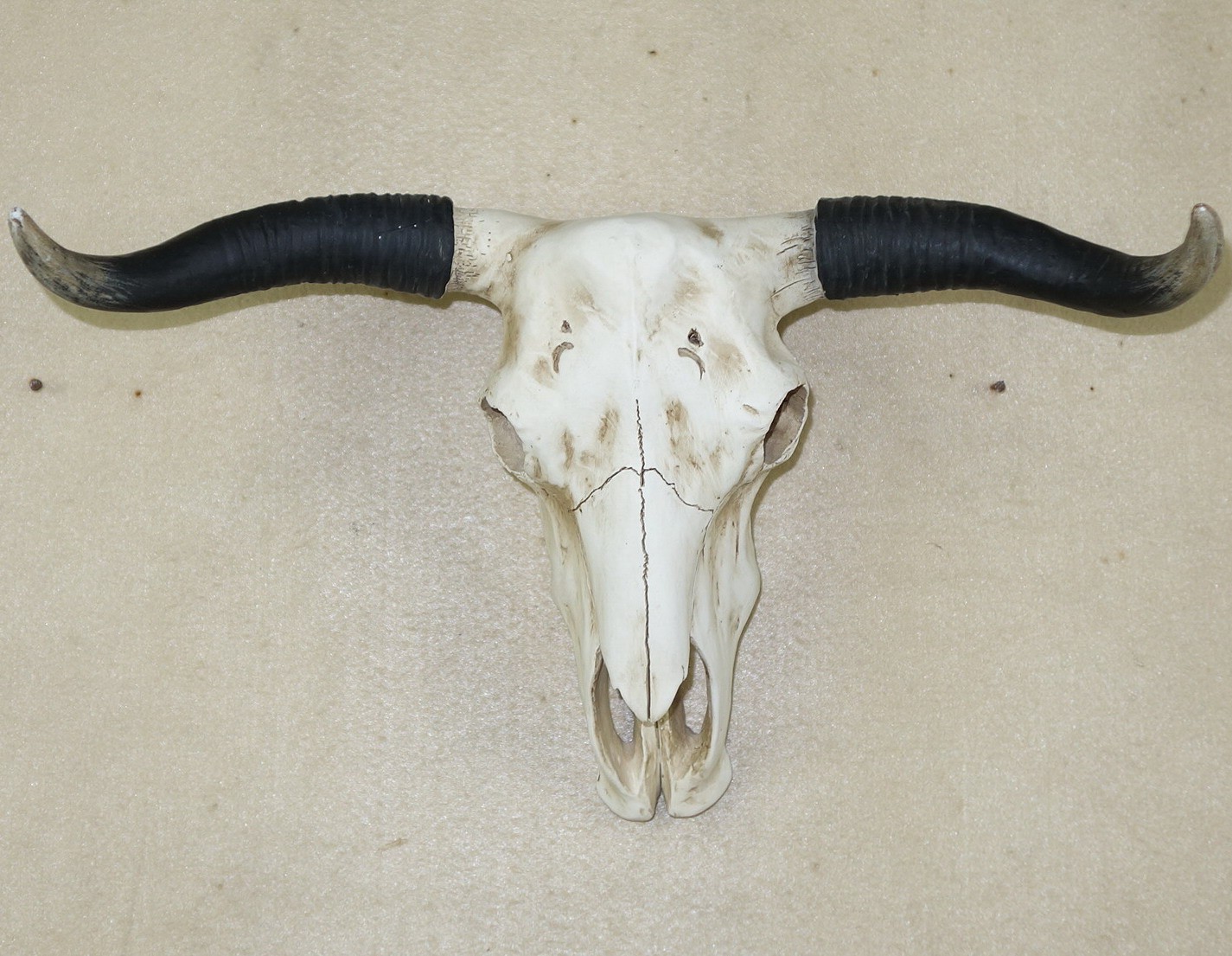 Cow Skull Decor