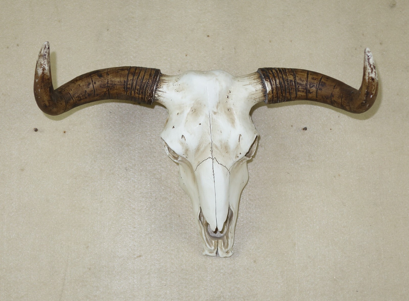 Cow Skull Decor
