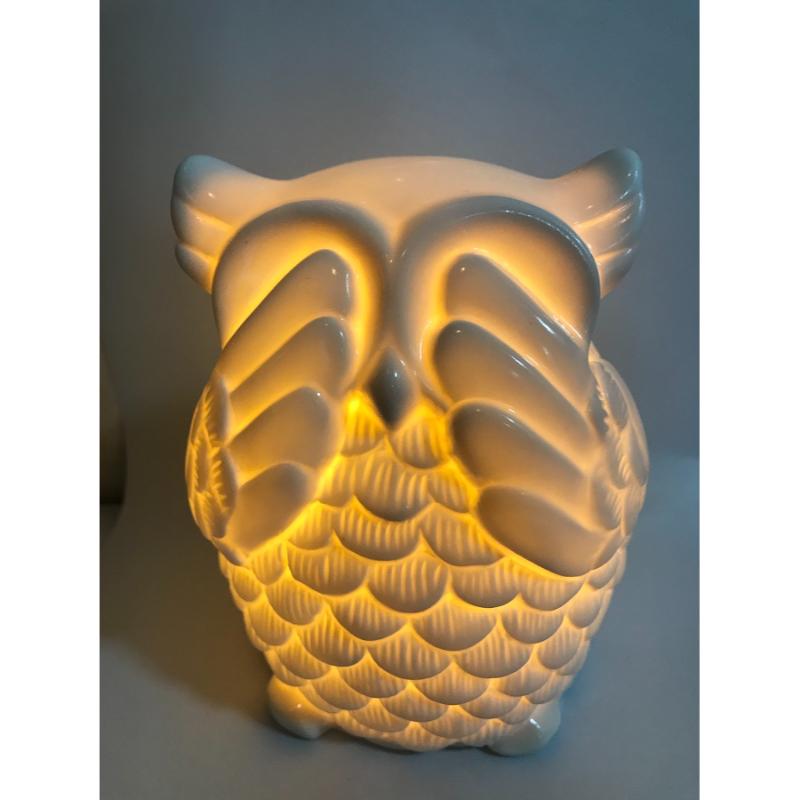 Ceramic white Fun Shaped Wise Owl Table Lamp