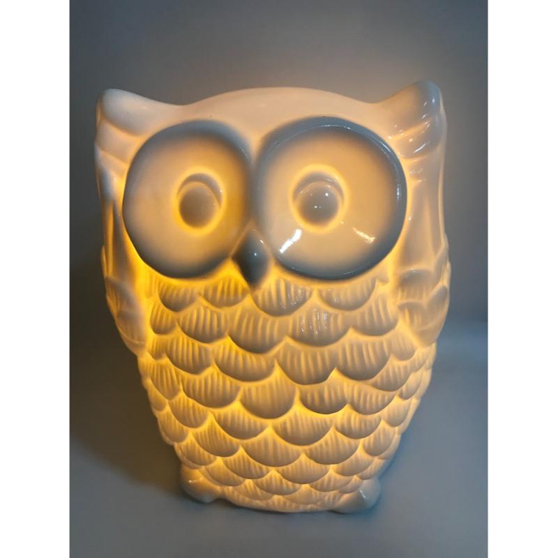 Ceramic white Fun Shaped Wise Owl Table Lamp