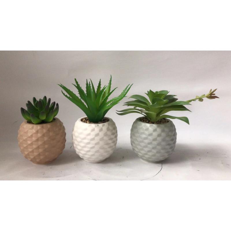 Ceramic Plant Pots sets of 3