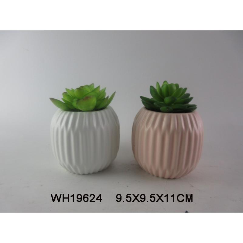 Ceramic Succulent Planter Pots