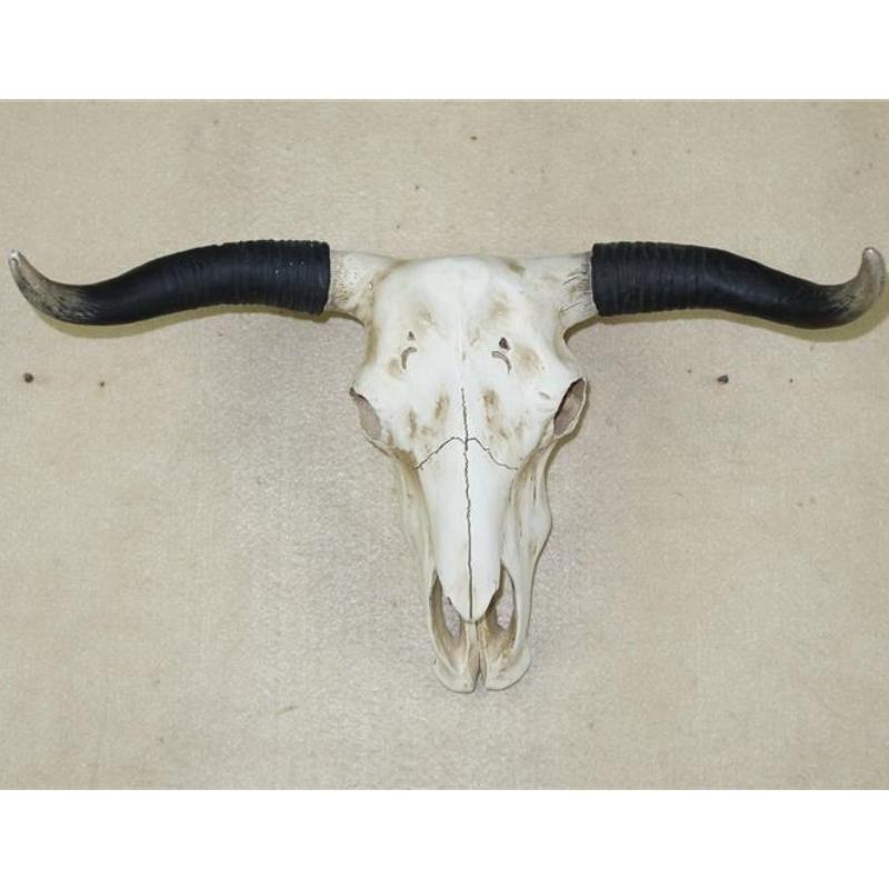 Cow Skull Decor