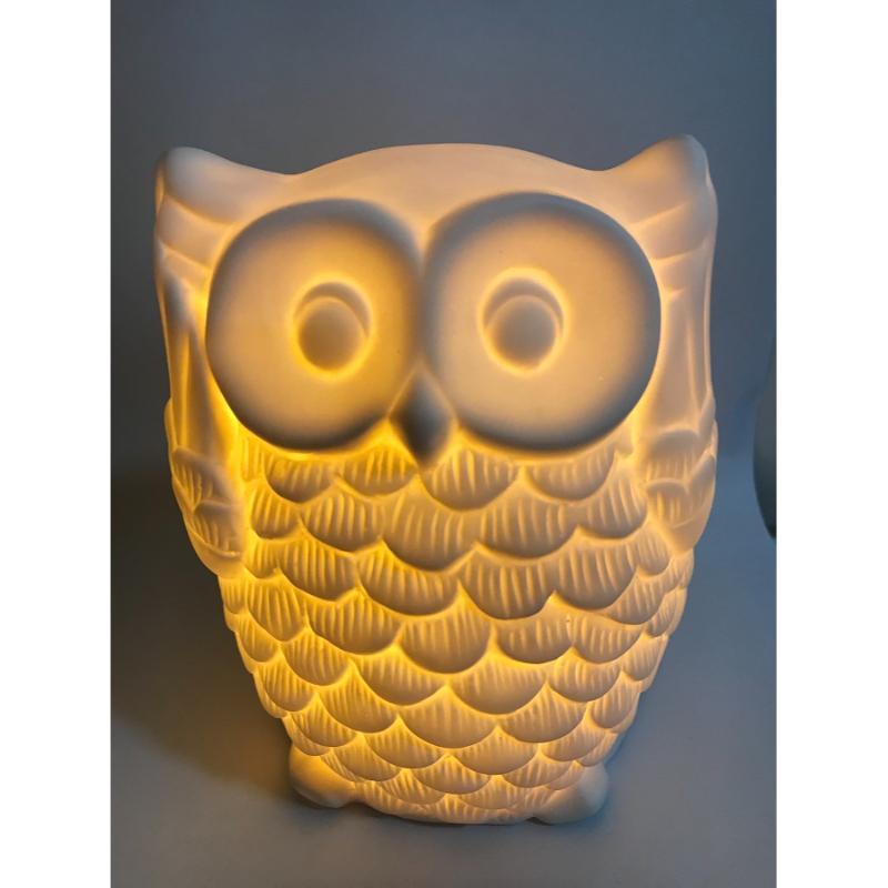 Ceramic white Fun Shaped Wise Owl Table Lamp