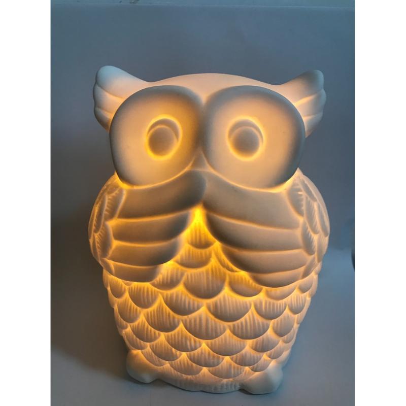 Ceramic white Fun Shaped Wise Owl Table Lamp